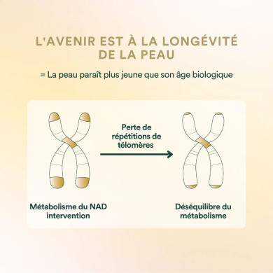 Inner Beauty - recharge 30 gélules - Insentials