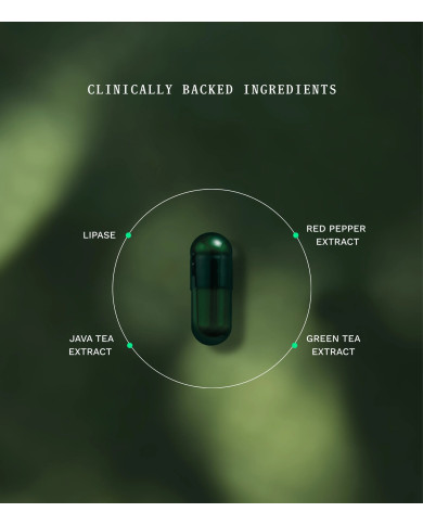 Fat Burner - recharge 30 gélules - Insentials