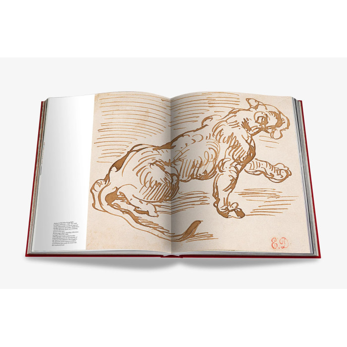 Cartier Panthère - Assouline