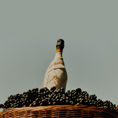 Champagne La Grande Dame brut 2018 - Édition Simon Porte Jacquemus