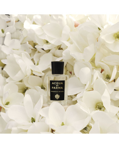 1050000794 - Eau de parfum signatures of the sun Magnolia Infinita - 20ml