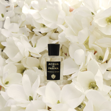 1050000794 - Eau de parfum signatures of the sun Magnolia Infinita - 20ml