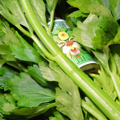 Sauve Java - céleri, fenouil et badiane - 100 ml