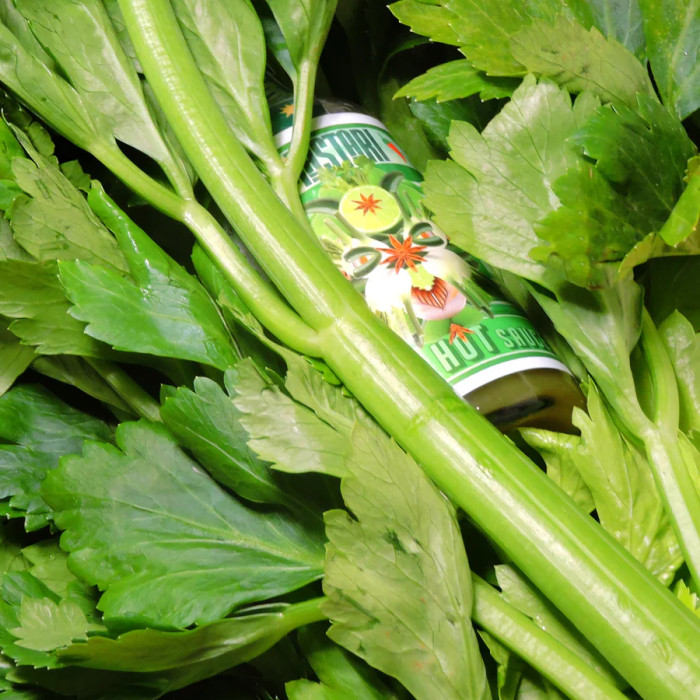 Sauve Java - céleri, fenouil et badiane - 100 ml