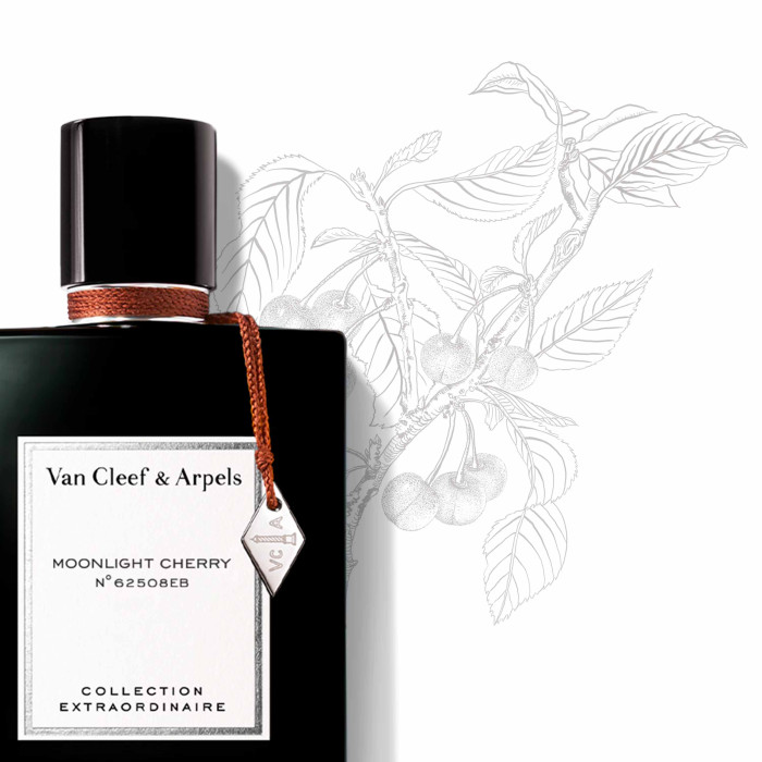 Moonlight Cherry - Eau de Parfum - 75 ml