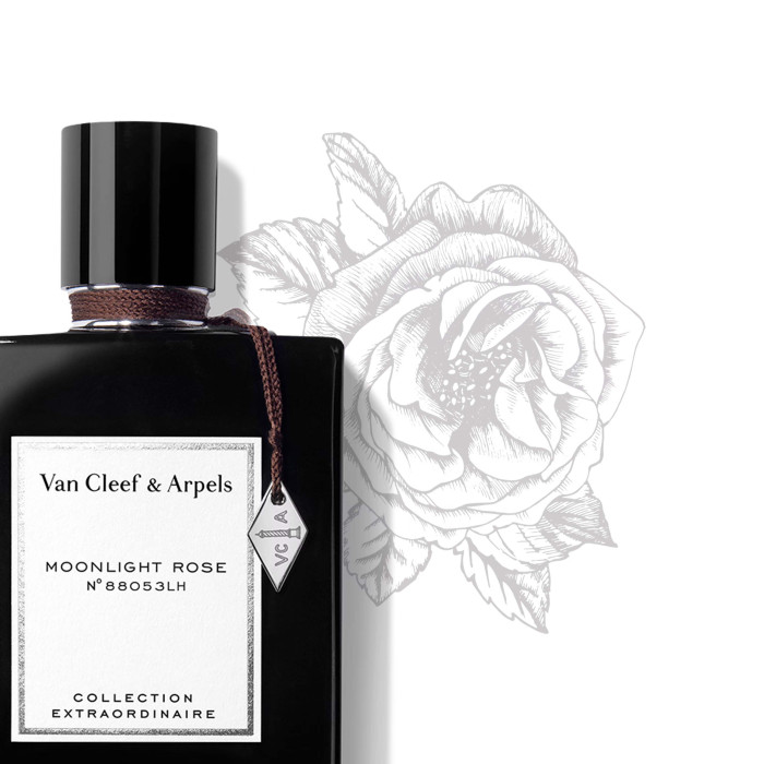 Moonlight Rose - Eau de Parfum - 75 ml