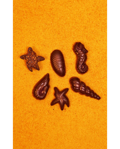 Fritures Soba Cha 100g