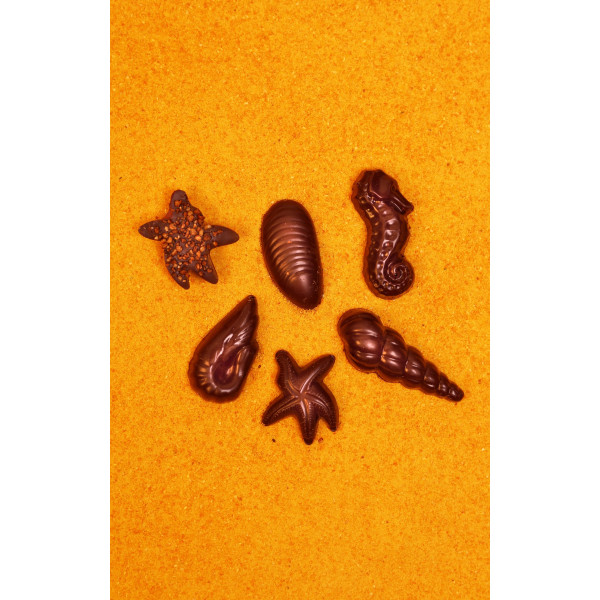 Fritures Soba Cha 100g