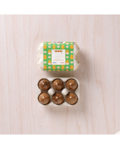 Boite 6 mini oeufs pralinés lait noisette