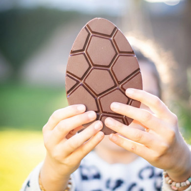 Tablette chocolat noir fourrée praliné noisette