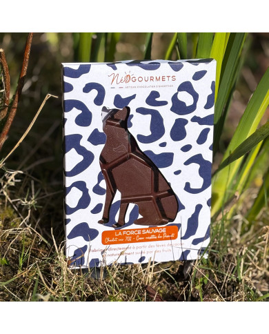 Tablette chocolat noir fourrée praliné noisette