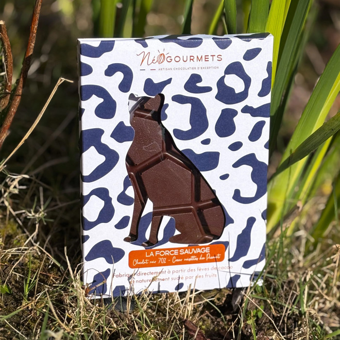 Tablette chocolat noir fourrée praliné noisette