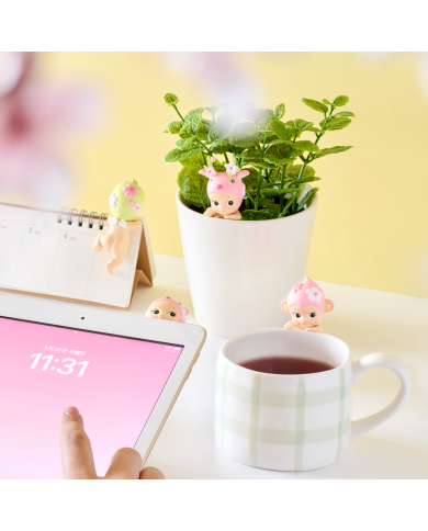 Série Hippers Cherry Blossom (1 pièce)