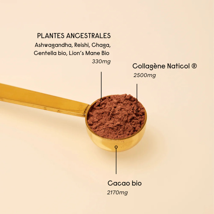 Collagène Cacao 140g - Hygée