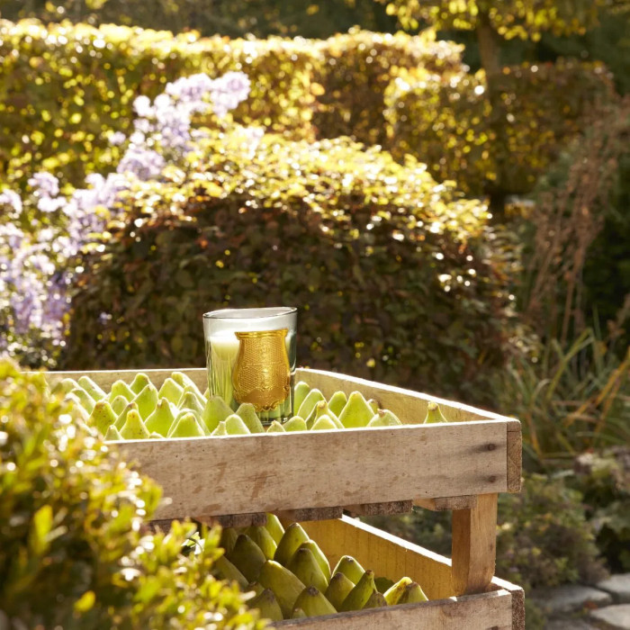 La bougie classique Figuerie - 270g - Trudon