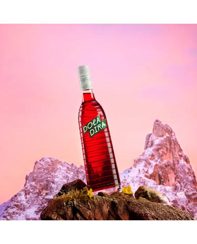 Aperitivo à la rhubarbe 70cl - Doladira
