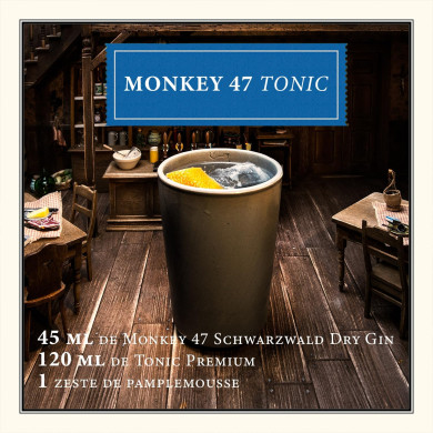 Gin Monkey 47 - 50 cl