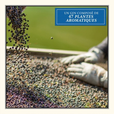 Gin Monkey 47 - 50 cl