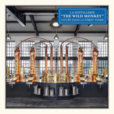 Gin Monkey 47 - 50 cl