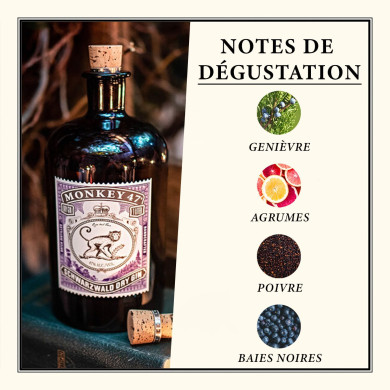 Gin Monkey 47 - 50 cl