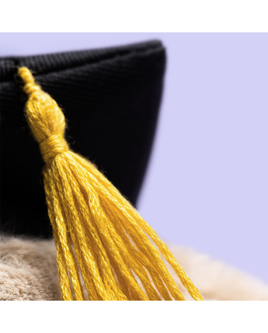 Bashful Bunny Graduation Outfit - Jellycat