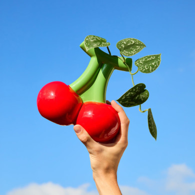 Vase Cerise - Fluid Market