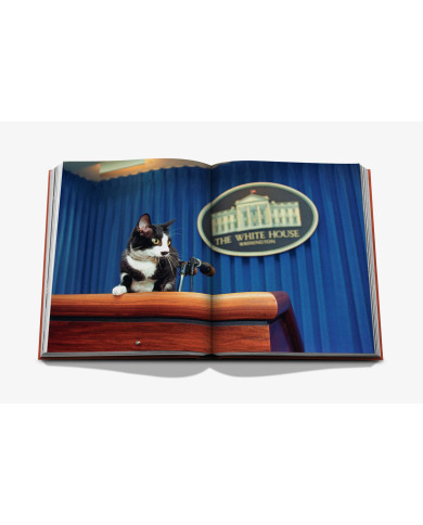 Chic Cats - Assouline