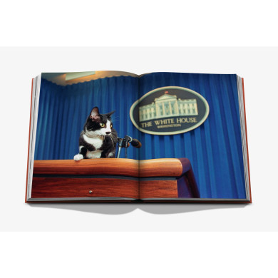 Chic Cats - Assouline