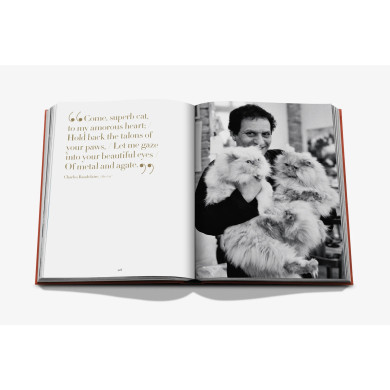 Chic Cats - Assouline