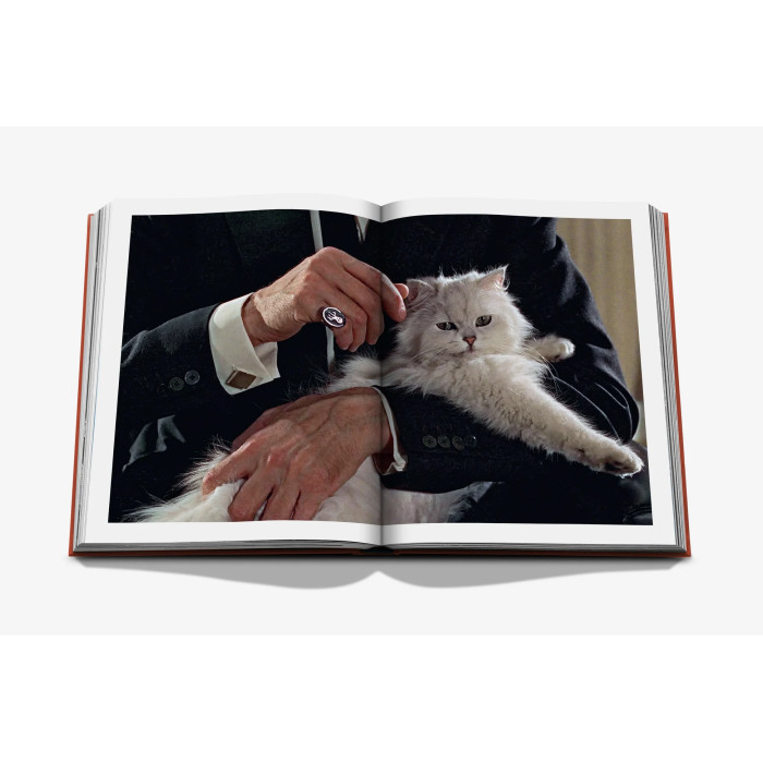 Chic Cats - Assouline