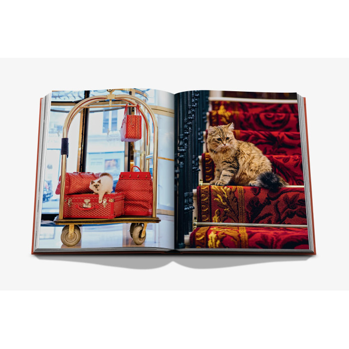 Chic Cats - Assouline