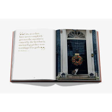 Chic Cats - Assouline