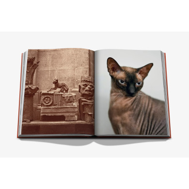 Chic Cats - Assouline