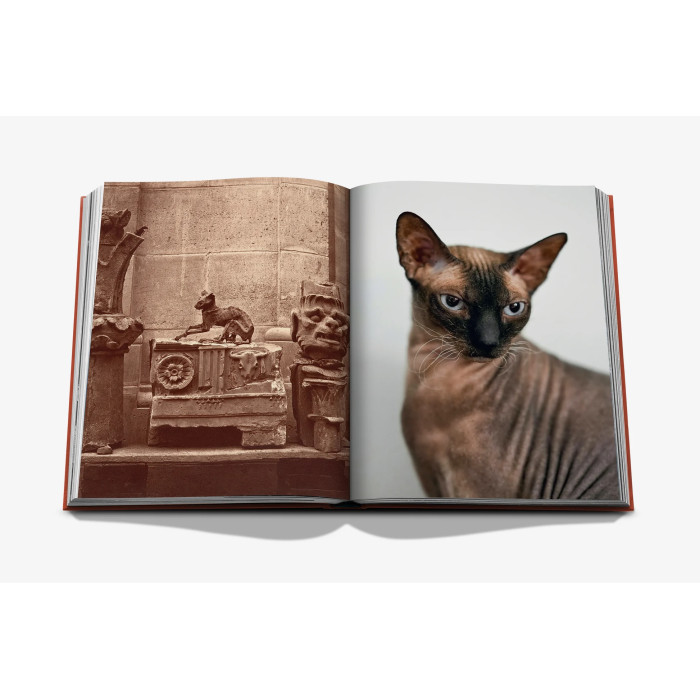 Chic Cats - Assouline