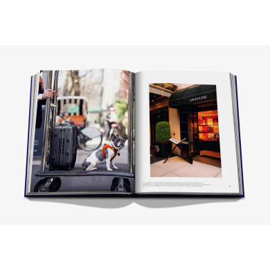 The Mark - Assouline