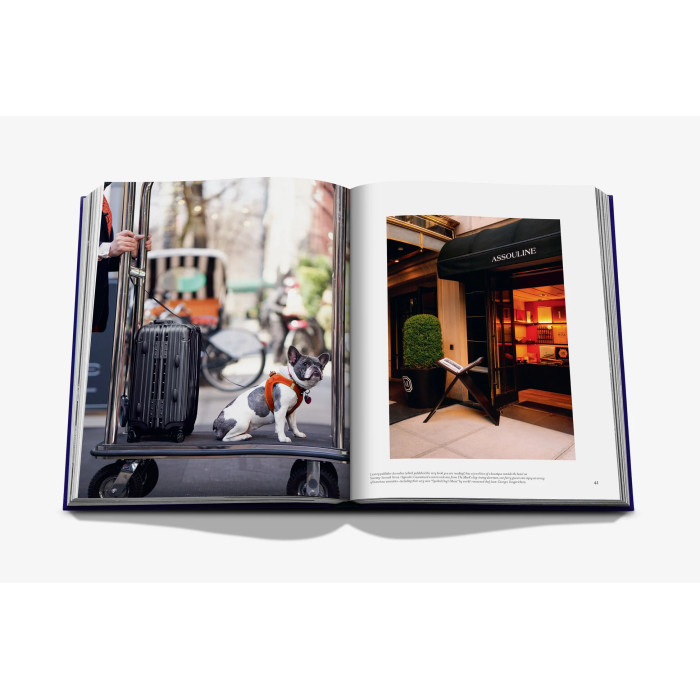 The Mark - Assouline