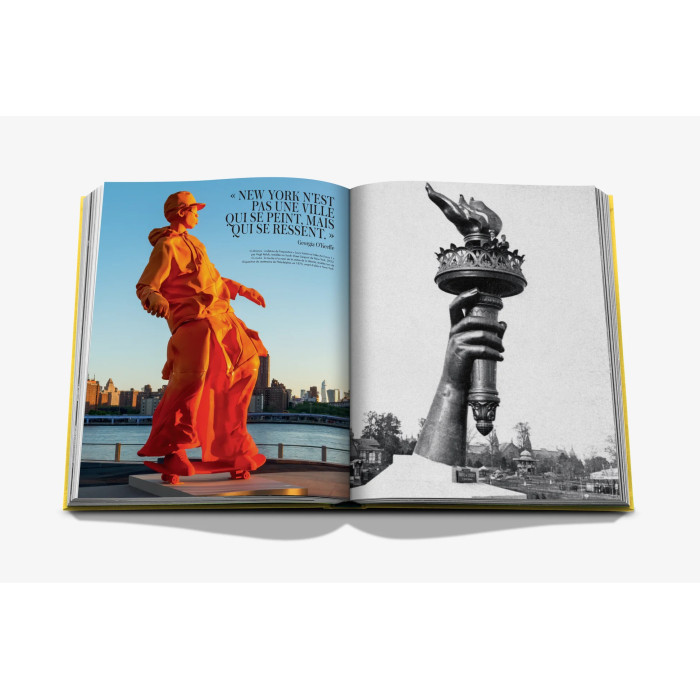 From Louis to Vuitton (French) - Assouline