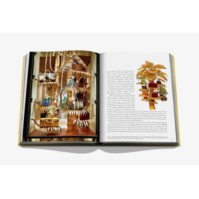 From Louis to Vuitton (French) - Assouline