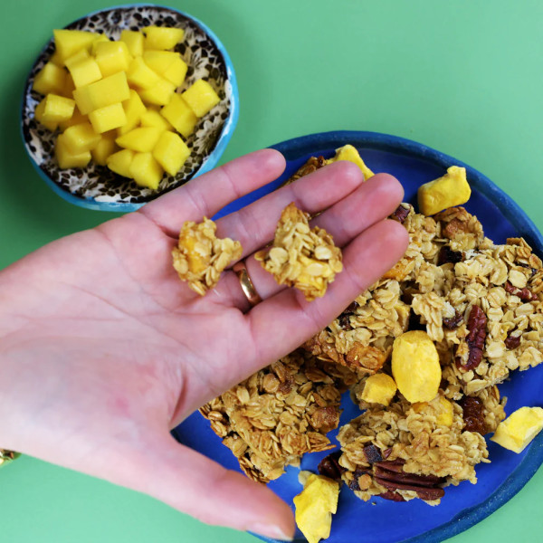 Mangue lyophilisée en morceaux - Thani