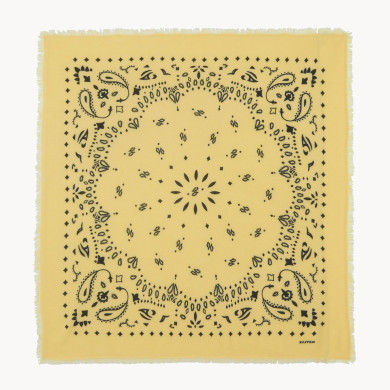 Grand bandana cachemire imprimé Hachiko Anis - Kujten