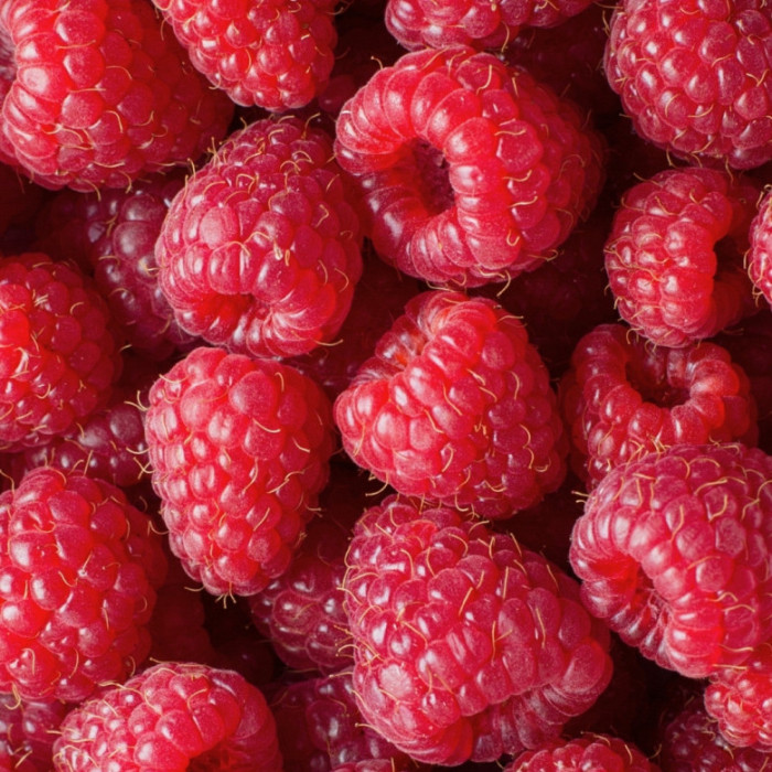 Confiture Framboise épépinée 200g - La Chambre