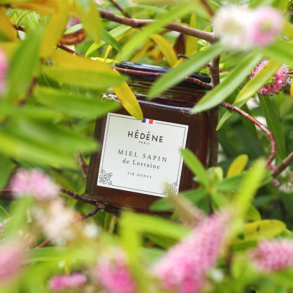 Miel Sapin 250g - Hédène