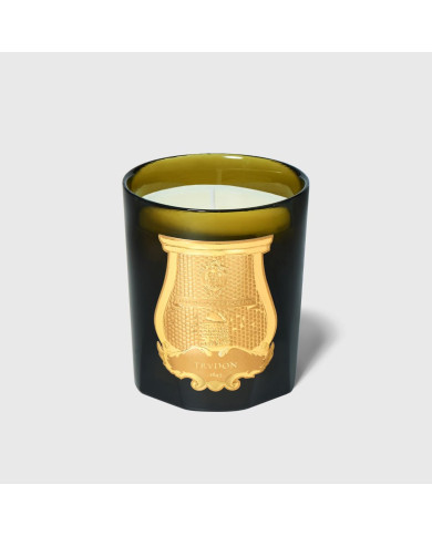 La bougie Classique Ernesto - 270g - Trudon