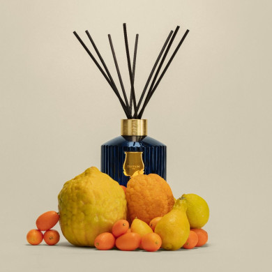 Le diffuseur Reggio - 350ml - Trudon