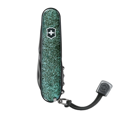 Montre Professional Diver Titanium limited edition - Victorinox