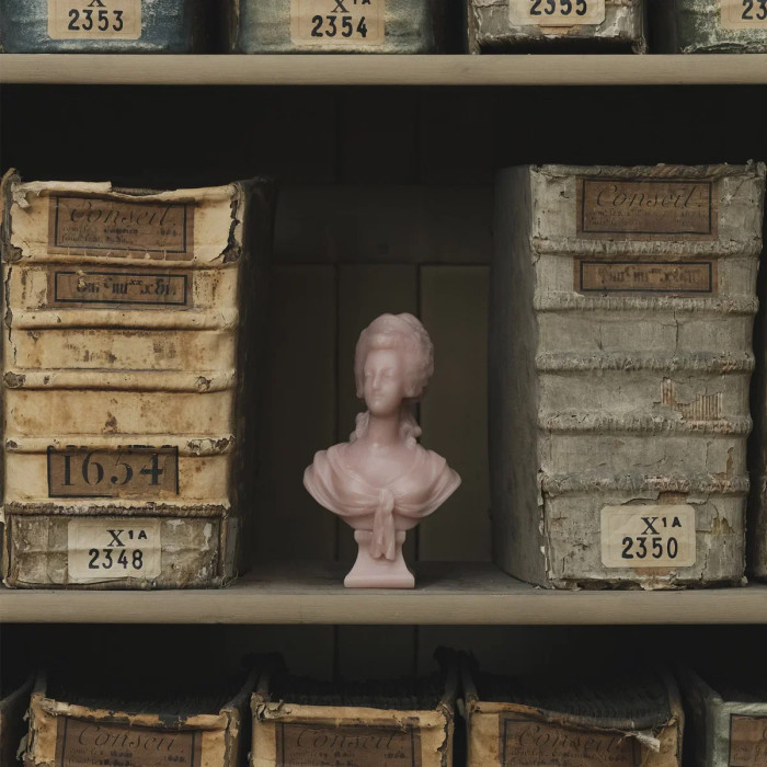 Buste Marie-Antoinette Rose - Trudon