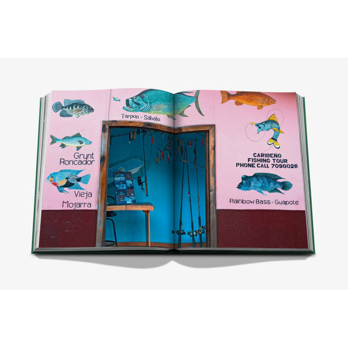Costa Rica Vida - Assouline