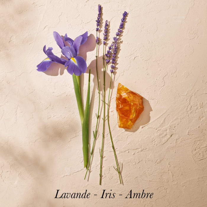 Ambre Sauvage - Eau de Parfum 100ml - Annick Goutal