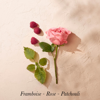 Rose Pompon - Eau de Parfum 100ml - Annick Goutal