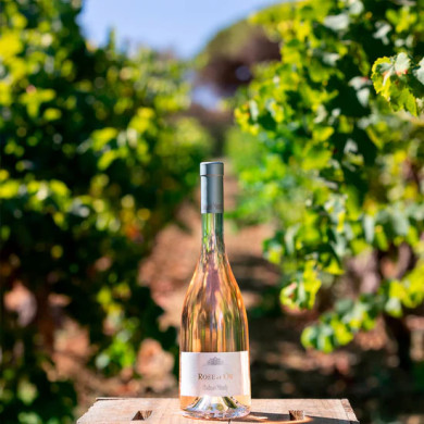 Offre 5+1 - Château Minuty rose et or - 75 cl